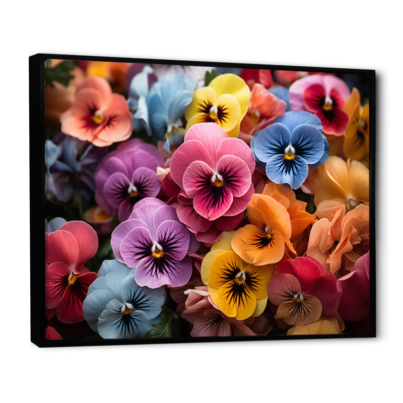 Colourful Pansies Field Vibrant - Floral Wall Art Prints, H 12 po x l 20 po x P 1 po, Cadre flottant noir