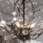 Darcey 4 - Light 18"W Unique Traditional Empire Chandelier with Crystal Accents & Black Metal Frame for Dining Room or Living Room-18529138