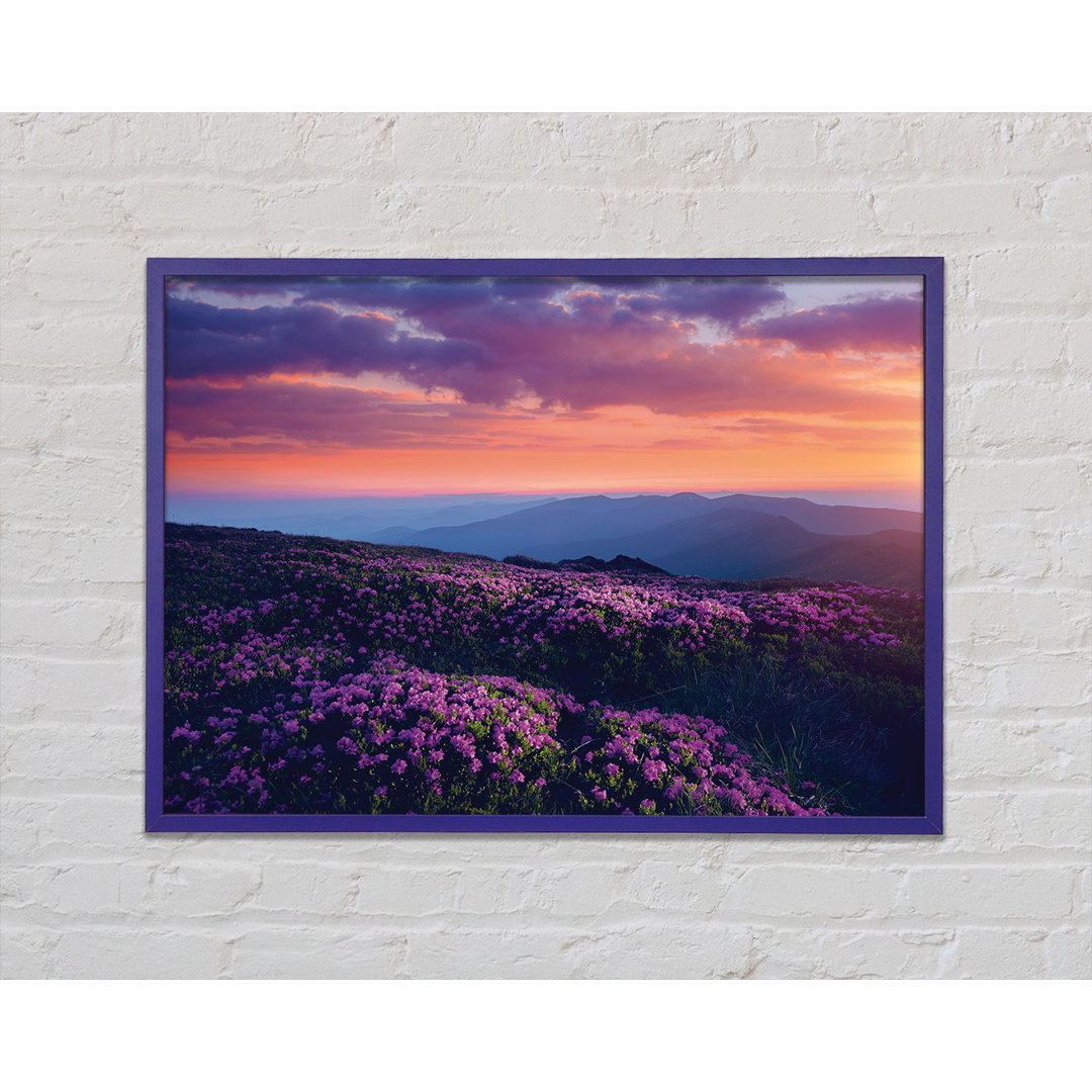 Purple Meadow Mountains - Einzelne Bilderrahmen Kunstdrucke