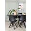 Boyd 6 - Person Dining Set