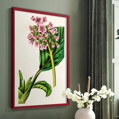Reproduction encadrée Antique Floral Folio III - bois massif