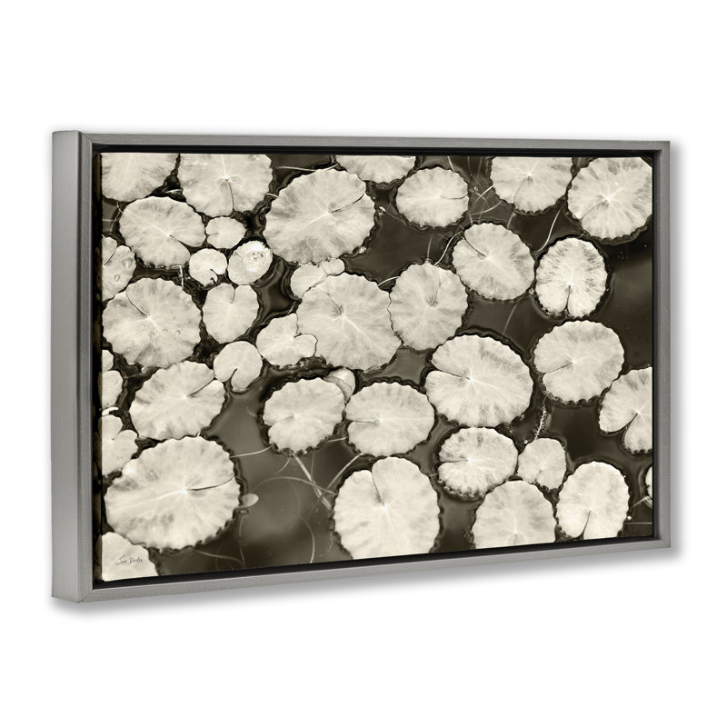 Cadre flottant blanc avec nénuphars, design par Lori Deiter, H 21 po x l 31 po, Cadre flottant gris lustré