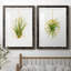 «Hanging Airplant II», ensemble de 2 impressions-446387506-487734114