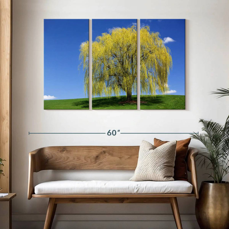 Harnek Spring Weeping Willow, 32" H x 50" W