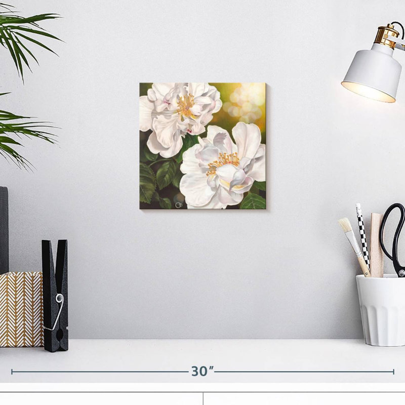 Pureté florale, H 10 po x l 10 po