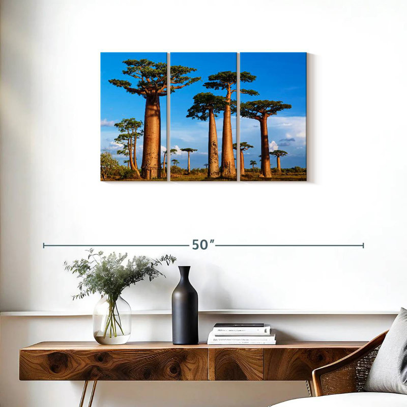 Morondava, forêt de Baobab, H 20 po x l 33 po