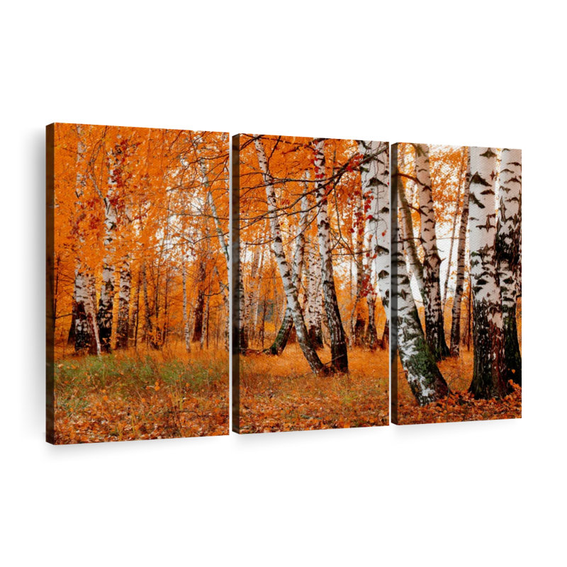 «Orange Birch Forest», 3 pièces, H 36 po x l 57 po