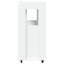 Shebra 60cm Bar Cabinet-799025860