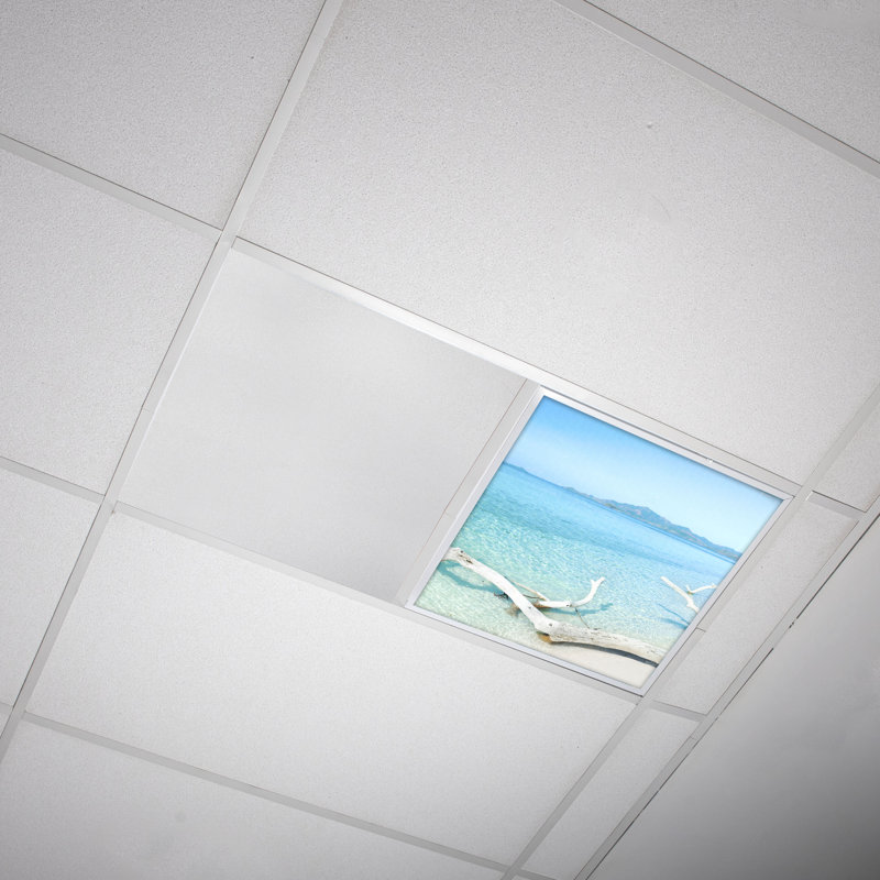 Beach Square Fixture Component Ceiling Light