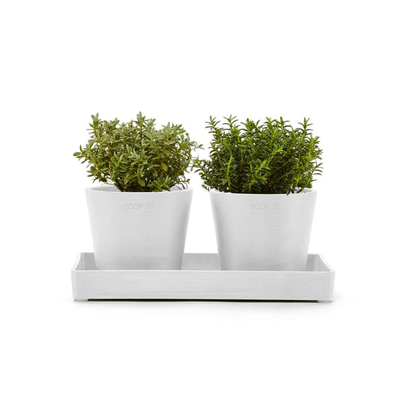 Jardinières en pot, Gris pur