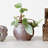 Debossed Stoneware Planter with Pattern and Reactive Glaze