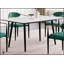 Ensemble de salle à manger 5 pièces Modern Modern-366416244-366416243