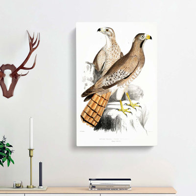 Two Eagles by John Edward - Wrapped Canvas