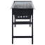 Dakota Fields Winscott 60cm W Portable Gas & Charcoal Combo Grill