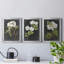 «Dramatic White Flowers I», ensemble de 3 peintures sur toile encadrées-1356238376-1356238379