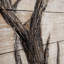 White Tail II 48 x 60 cerf, peinture à l'huile sur bois originale