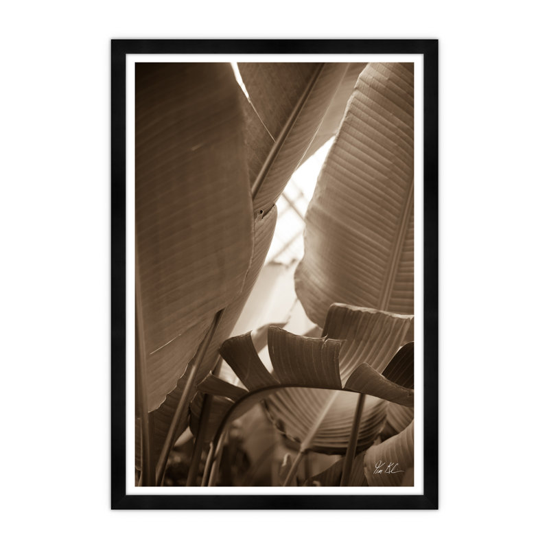 Curled Palm I Print by Tim Klein
