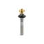 1.25" Lift and turn Tub Drain-144657573-144657566