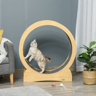 Cat Activity Play Mat Scratch-Resistant Kitten Cat Hiding House 100*100cm Cat  Play Mat With Holes Pet Supplies Accessories - AliExpress