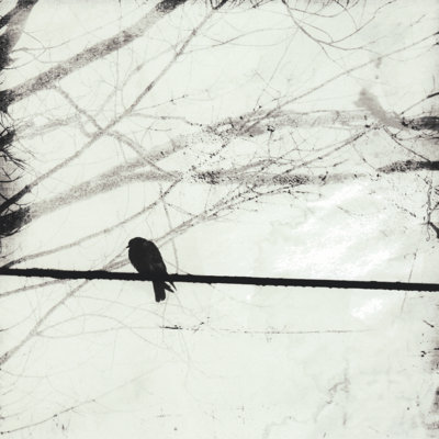 Silver Days II - Wrapped Canvas Print