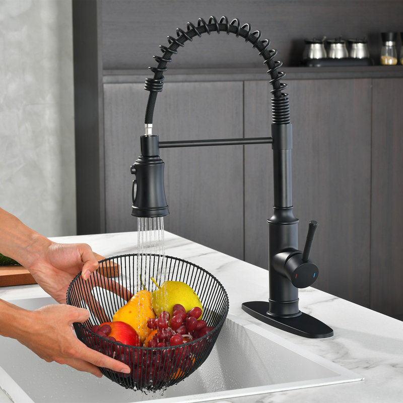 Robinet de cuisine à ressort commercial APPASO, robinet d'évier de cuisine classique avec pulvérisateur rétractable, robinet à ressort à arc élevé à poignée simple pour cuisine, maison de campagne, véhicule récréatif, nickel brossé et noir m