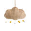 1 - Light Natural Novelty Pendant