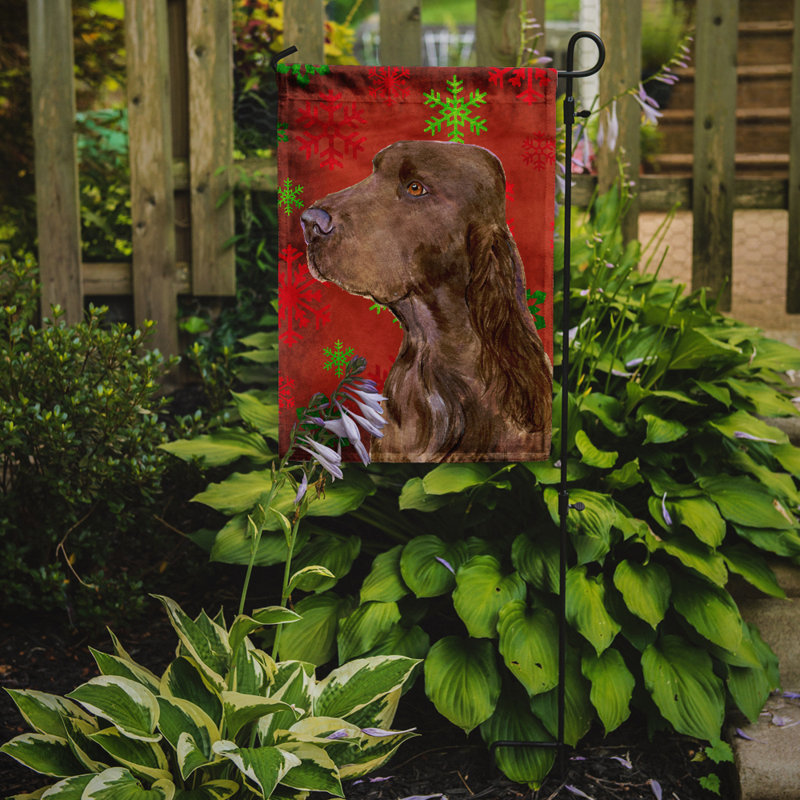 Drapeau rouge et vert Vart, Field spaniel