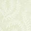 Etched Fern Wallpaper-45074286