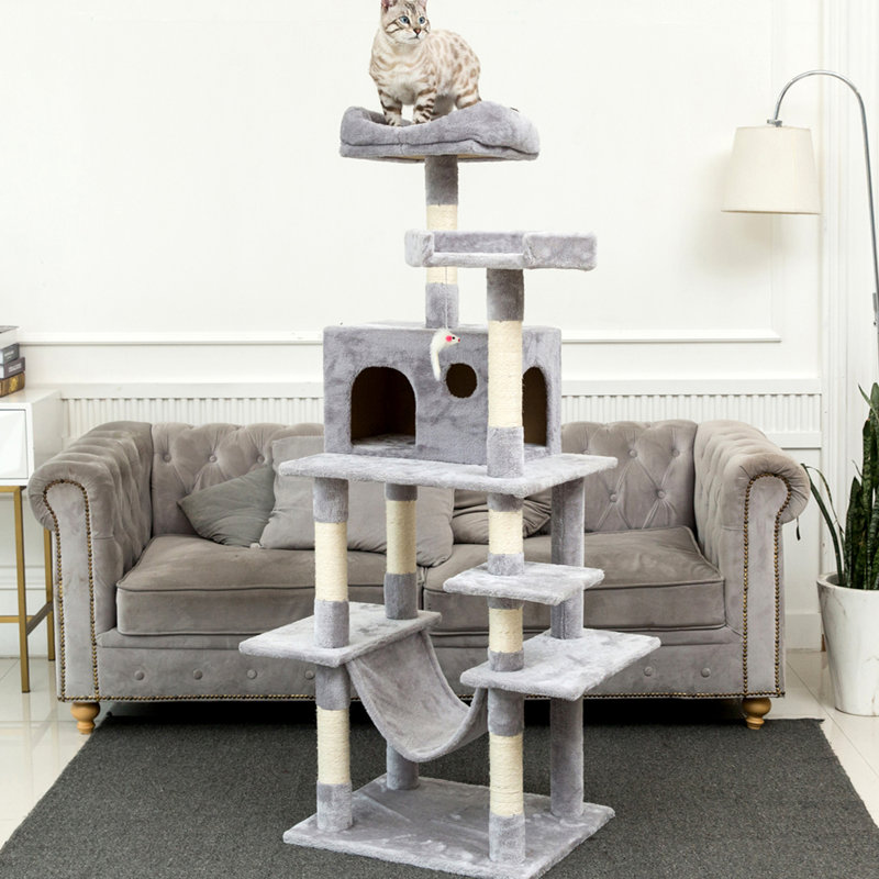 arbre à chat gris