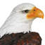 Statue aigle à tête blanche