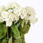 Buisson de géranium artificiel 18 po Kimberlee-1772900937