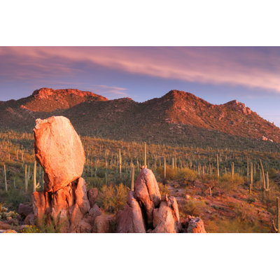 Saguaro Sunset by Ericfoltz