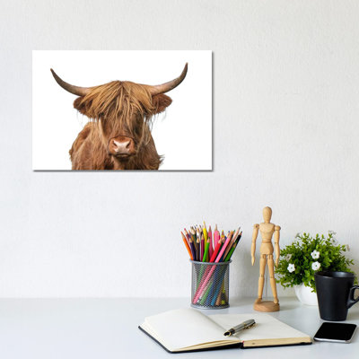 Highland Cow Headshot - Wrapped Canvas Print