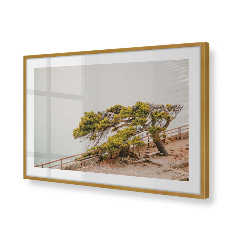 Windswept Beauty Print, 13.25" H x 17.25" W x 1.25" D, Polished Gold Single Picture Framed