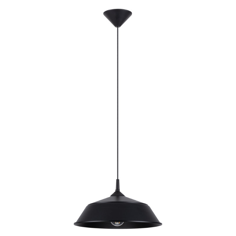 1 - Light Stainless Steel Pendant, Black