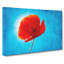 Red Poppy Flower Vol.1 - Wrapped Canvas-61837006