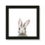 Art encadré en lapins forestières-48188938-48188939