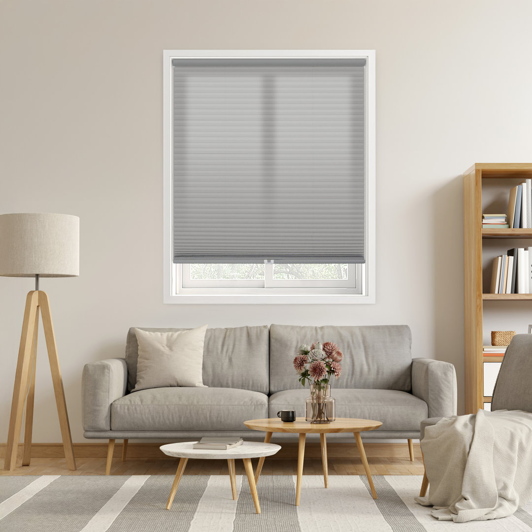 EcoHome 1.5 inch Cordless Semi-Sheer Light Filtering Cellular Shade AllModern Color: Anchor Gray Blind Size: 58"W x 84"L