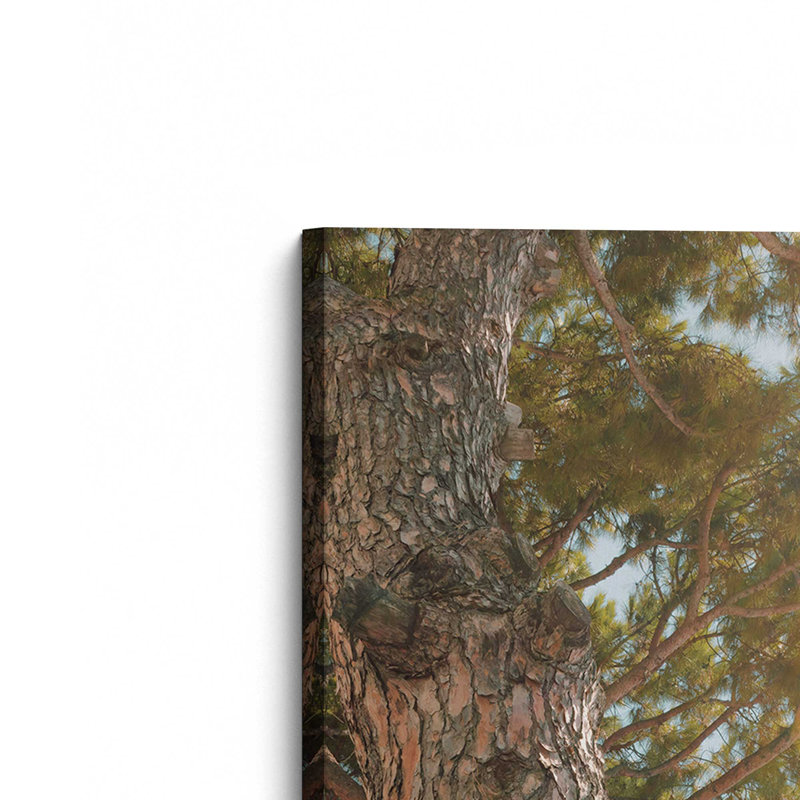 Under the Pine Canvas Print, 18" H x 12" W x 1.25" D, Wrapped Canvas