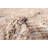 Sienna Taupe Rug 5'3" x 8'0"