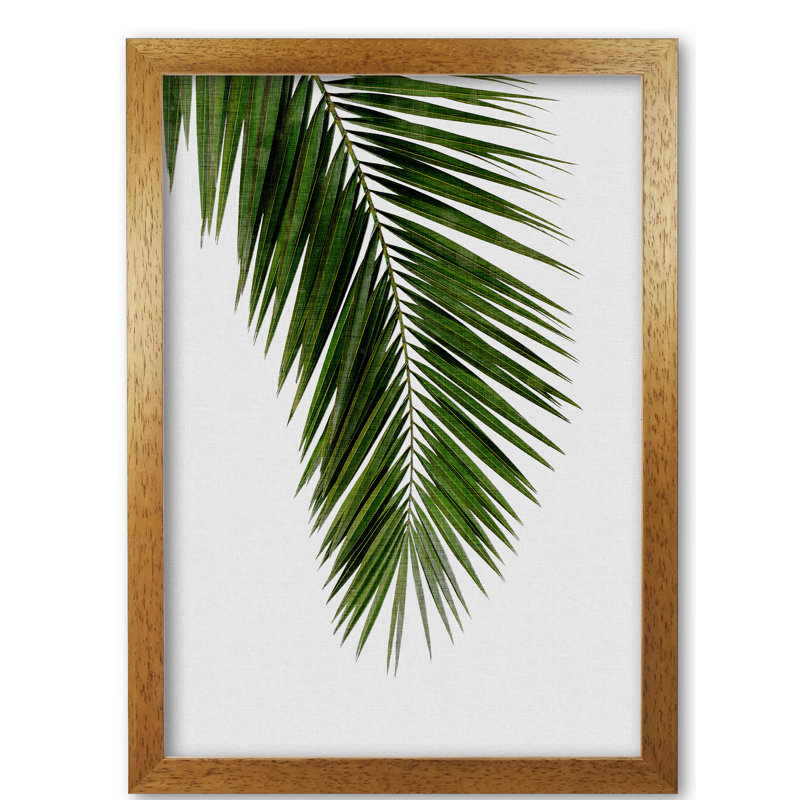 Palm Leaf I - Print, 42 cm H x 30 cm W x 5 cm D, Honey Oak Frame