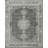 Oriental Indoor Rug-1568831485