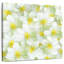 Fleurs de jasmin blanches Harnek-109216804