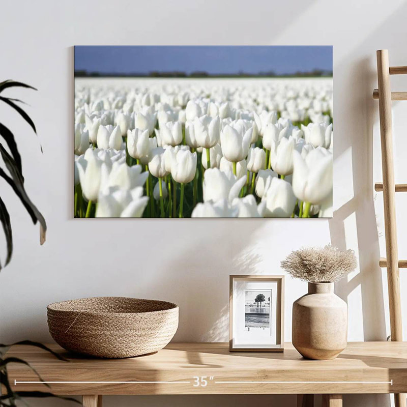 Alvord Endless White Tulips, 16" H x 24" W