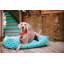 Lit pour chien marocain -1141137440-1141137443