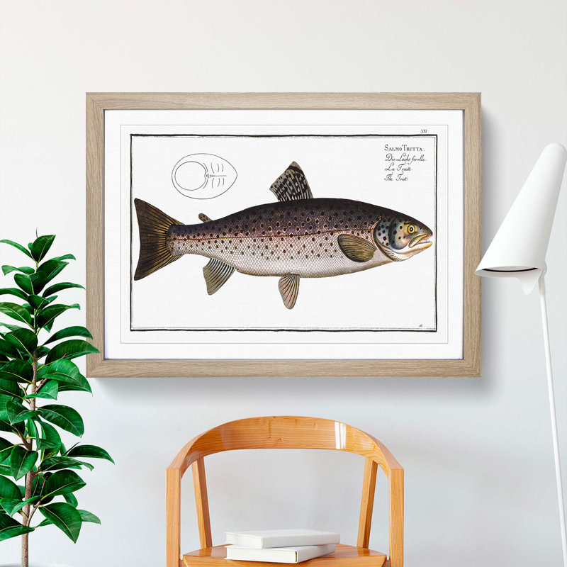 Brown Trout Fish by M.E. Bloch - Picture Frame Art Print, 48cm H x 65cm W x 2cm D, Oak Framed