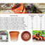 Pot à fleur intérieur / extérieur en plastique Terra-317655697-317655727