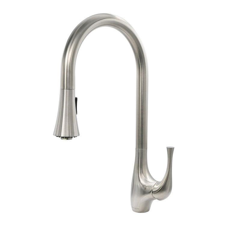 Lulani Yasawa Pull Down Single Handle Kitchen Faucet
