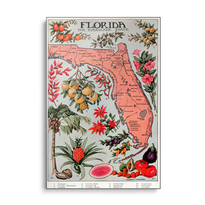 Steelpix Metal Canvas -  State Map of Florida (Natural Resources) - Vintage Poster By Unknown Artist Wall Art Print