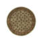 Wool Oriental Area Rug